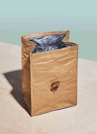Paper Bag Lunch Cooler