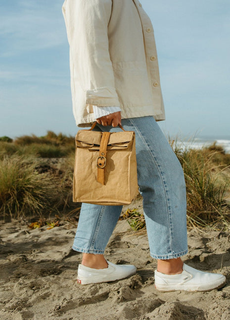 Paper Bag Lunch Cooler